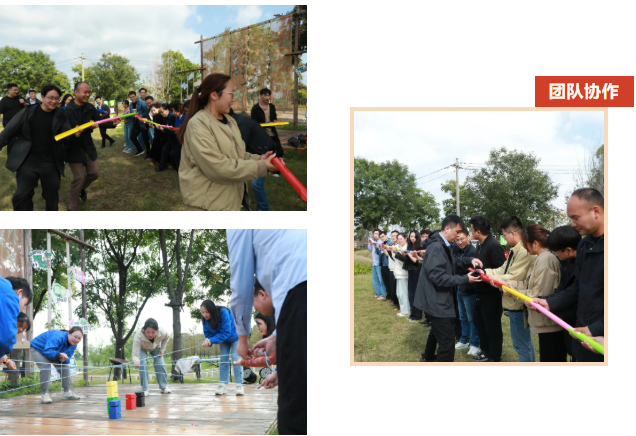 1764396247538757BWfk.png image.png